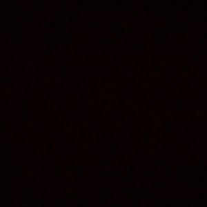 Meet your Posher, Shaune